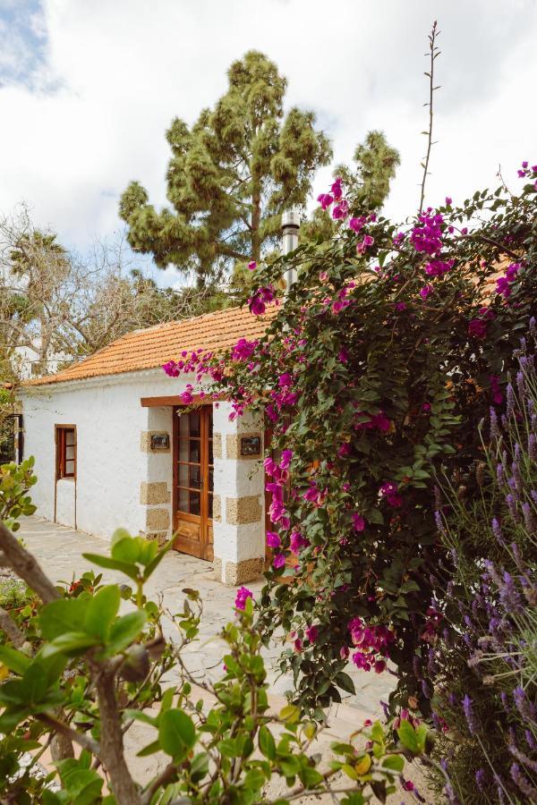Ecoverode Hotel Emblematico Vegetariano Vegano Arona  Exterior foto